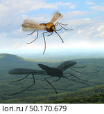Mosquito danger fear and the risk of mosquitoes in the outdoors transmitting harmful infections as malaria and zika virus as an insect casting a huge shadow in the wilderness as risks of camping in a 3D illustration style. Стоковое фото, агентство Ingram Publishing / Фотобанк Лори