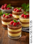 Dessert cups filled with creamy layers of custard and chocolate, topped with fresh raspberries and mint leaves, showcasing a delightful and tempting culinary creation. Стоковое AI-изображение, AI-художник Ирина Ручушкина / Фотобанк Лори