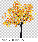 Fall (Autumn) Maple Background. Transparency Grid Design. Vector Illustration. Стоковая иллюстрация, агентство Ingram Publishing / Фотобанк Лори