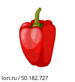 Sweet Pepper. Cartoon Glossy Design. Vector Illustration. Стоковая иллюстрация, агентство Ingram Publishing / Фотобанк Лори