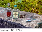 Пустые бутылки из под спиртного и пачка сигарет на бетонном блоке в парке Щёлковской Шелкоткацкой фабрики. Редакционное фото, фотограф Владимир Шипикин / Фотобанк Лори