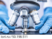  Researchers working with microscopes Wearing blue gloves. Стоковое фото, агентство Ingram Publishing / Фотобанк Лори