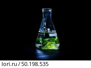 algae research in laboratories, biotechnology science concept. Стоковое фото, агентство Ingram Publishing / Фотобанк Лори