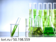 Algae seaweed in science experiments, laboratory research. Стоковое фото, агентство Ingram Publishing / Фотобанк Лори