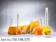 Biofuel or Corn Syrup, gasoline, energy, environmentalist. Стоковое фото, агентство Ingram Publishing / Фотобанк Лори