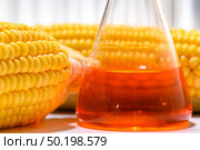 Biofuel or Corn Syrup, gasoline, energy, environmentalist. Стоковое фото, агентство Ingram Publishing / Фотобанк Лори