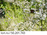 Small Flying Quadcopter Drone in flight mode with camera outdoor on sunny day spring time white flowers blossom garden background. Стоковое фото, фотограф Camptoloma / Фотобанк Лори