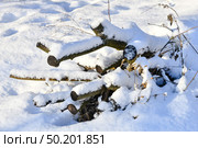 Sunny winter day big snowdrifts felled trees stump and branches under the snow background. Стоковое фото, фотограф Camptoloma / Фотобанк Лори