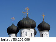Купола Свято-Успенского кафедрального собора. Город Киров, улица Горбачёва, 4а. Стоковое фото, фотограф Алексей Иванов / Фотобанк Лори