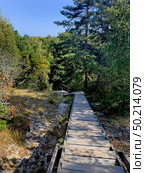 Muller peak hiking area in Russia, Rybachii village, Courish Split (2024 год). Редакционное фото, фотограф Татьяна Кахилл / Фотобанк Лори