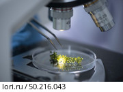 Optical Microscope is used for conducting planned, research experiments, educational demonstrations in medical and clinical laboratories. Стоковое фото, агентство Ingram Publishing / Фотобанк Лори