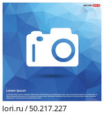 Photo camera icon . Стоковая иллюстрация, агентство Ingram Publishing / Фотобанк Лори