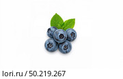 Fresh blueberries with green leaves composition. Стоковое AI-изображение, AI-художник Андрей Бакусов / Фотобанк Лори