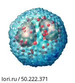 Eosinophil white blood cell related to the immune system and allergy or asthma medical condition as an anatomy concept as a 3D illustration. Стоковое фото, агентство Ingram Publishing / Фотобанк Лори