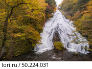 Autumn fall forest at Yudaki Falls at Nikko Tochigi Japan. Стоковое фото, агентство Ingram Publishing / Фотобанк Лори
