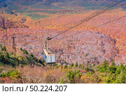 Aerial view of red leaf autumn fall season for Forest wodland From Hakkoda Mountain with Hakkoda Ropeway in Aomori Tohoku Japan. Стоковое фото, агентство Ingram Publishing / Фотобанк Лори