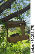 Vertical video of sparrows pecking crumbs from a wooden feeder on a garden tree on a summer day (lat. Passer domesticus). Natural background. Bird care concept. Стоковое видео, видеограф Виктория Катьянова / Фотобанк Лори