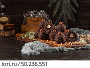 Dark chocolate truffles with hazelnuts over wooden cutting board. Стоковое фото, агентство Ingram Publishing / Фотобанк Лори