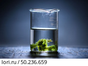 Photobioreactor in Algae fuel biofuel industry, sustainable energy concept. Стоковое фото, агентство Ingram Publishing / Фотобанк Лори