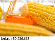 Biofuel or Corn Syrup, gasoline, energy, environmentalist. Стоковое фото, агентство Ingram Publishing / Фотобанк Лори