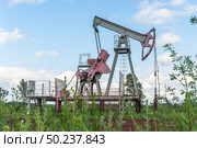 Oil production at the field. Extraction of oil from the reservoir using a rocking machine. The construction of the rocking machine. Summer. Beautiful sky and nature. Стоковое фото, фотограф Владимир Ендовицкий / Фотобанк Лори