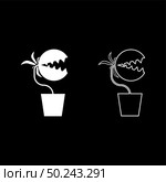 Carnivorous plant Flytrap Monster with teeths in pot icon outline set white color vector illustration flat style simple image. Стоковая иллюстрация, агентство Ingram Publishing / Фотобанк Лори