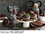 Coffee chocolate muffins for breakfast. Стоковое фото, агентство Ingram Publishing / Фотобанк Лори