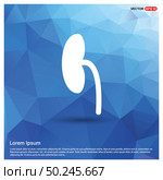 kidney icon. Стоковая иллюстрация, агентство Ingram Publishing / Фотобанк Лори