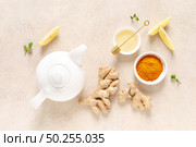 Ginger turmeric tea with honey, fresh lemon and mint. Стоковое фото, агентство Ingram Publishing / Фотобанк Лори
