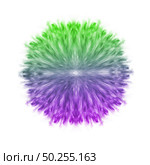 Symmetrical powder splash in the shape of flower in the tricolored gradient shades on a white background, copy space.. Smoke explosion tricolored in the shape of flower. Стоковое фото, агентство Ingram Publishing / Фотобанк Лори