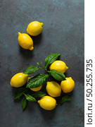 Fresh lemons with leaves, summer citrus lemonade ingredient. Стоковое фото, агентство Ingram Publishing / Фотобанк Лори