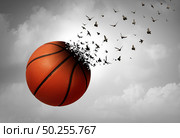 Sport loss concept and depression and tragic sport event and grief psychology symbol as a basketball transforming to birds as a depressed fan from a sad eye in a 3D illustration style. Стоковое фото, агентство Ingram Publishing / Фотобанк Лори