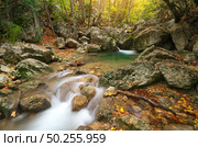 Autmn rill flow. Nature waterfall composition. Стоковое фото, агентство Ingram Publishing / Фотобанк Лори