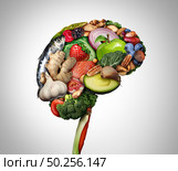 Healthy brain food to boost brainpower nutrition concept as a group of nutritious nuts fish vegetables and berries rich in omega-3 fatty acids for mind health as a composite image. Стоковое фото, агентство Ingram Publishing / Фотобанк Лори