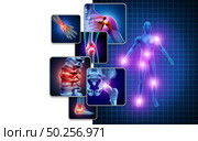 Joint body pain concept as skeleton and muscle anatomy of the body with a group of sore joints as a painful injury or arthritis illness symbol for health care and medical symptoms with 3D illustration elements. Стоковое фото, агентство Ingram Publishing / Фотобанк Лори