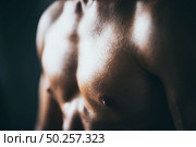 Muscular bodybuilder guy doing exercises  in gym. Стоковое фото, агентство Ingram Publishing / Фотобанк Лори