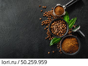 Coffee beans and coffee powder with tamper on dark background. Coffee concept. Coffee background. Flat Lay. . Стоковое фото, агентство Ingram Publishing / Фотобанк Лори