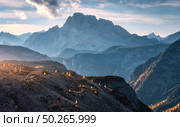 Mountain canyon lighted by bright sunbeams at sunset in autumn. Dolomites, Italy. Landscape with mountain ridges, rocks, colorful trees with orange leaves, alpine meadows, blue sky, sunlight in fall. Стоковое фото, агентство Ingram Publishing / Фотобанк Лори