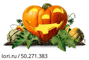 Happy halloween love pumpkin jack o lantern with pumpkins and leaves on a white background as a seasonal concept and autumn symbol as a heart shaped squash with 3D illustration elements. Стоковое фото, агентство Ingram Publishing / Фотобанк Лори