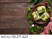 Sandwiches with wholemeal bread, hummus or puree of fresh green peas, radish, cucumber, boiled egg, green onion and chard. Стоковое фото, агентство Ingram Publishing / Фотобанк Лори