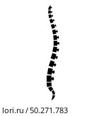 Spine human Spinal Lateral view Vertebras Dorsal vertebrae icon black color vector illustration flat style simple image. Spine human Spinal Lateral view Vertebras Dorsal vertebrae icon black color vector illustration flat style image. Стоковая иллюстрация, агентство Ingram Publishing / Фотобанк Лори