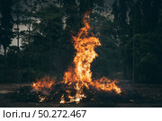 fire burning outdoor, Fire flames on forest background. Стоковое фото, агентство Ingram Publishing / Фотобанк Лори
