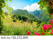 Idyllic summer day in the Durmitor National park. Montenegro. Summer day in National park. Стоковое фото, агентство Ingram Publishing / Фотобанк Лори