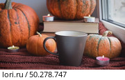 Cozy Hygge scene with sweater and candles. Orange pumpkins and cup of tea ore coffee. Halloween concept, cozy home, aromatherapy. Стоковое видео, видеограф Марина Демидюк / Фотобанк Лори