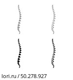 Spine human Spinal Lateral view Vertebras Dorsal vertebrae icon outline set black grey color vector illustration flat style simple image. Spine human Spinal Lateral view Vertebras Dorsal vertebrae icon outline set black grey color vector illustration flat style image. Стоковая иллюстрация, агентство Ingram Publishing / Фотобанк Лори