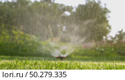 Automatic watering of the lawn in the garden. Стоковое видео, видеограф Igor Skripachev / Фотобанк Лори