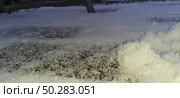 Winter morning reveals snowy sidewalks as individuals navigate through the frosty landscape in a quiet neighborhood. Стоковое фото, фотограф Александра Рублева / Фотобанк Лори