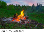 Fireplace in forest at dusk. Стоковое фото, фотограф Олег Жуков / Фотобанк Лори