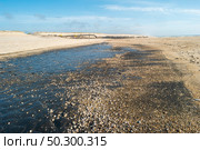 Sediment transposition intervention to the Atlantic Ocean to optimize the hydrodynamic balance in Ovar, Portugal. Стоковое фото, агентство Ingram Publishing / Фотобанк Лори