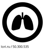 Lungs human icon in circle round black color vector illustration flat style simple image. Lungs human icon in circle round black color vector illustration flat style image. Стоковая иллюстрация, агентство Ingram Publishing / Фотобанк Лори